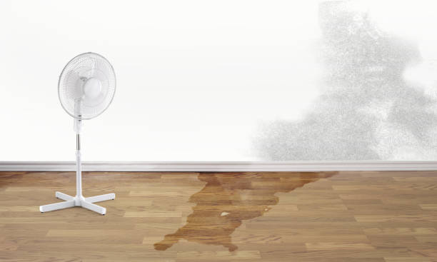 Best Professional water damage repair  in Goldsby, OK