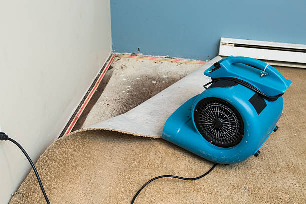 Best Water damage cleanup near me  in Goldsby, OK